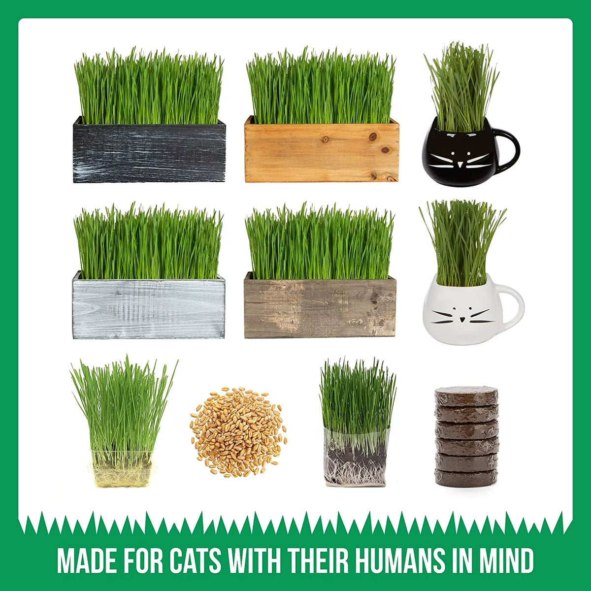 Organic Cat Grass Kit with Wood Planter, Seed and Soil Z482