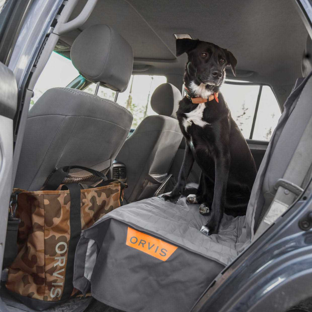 Dog Tote C956379