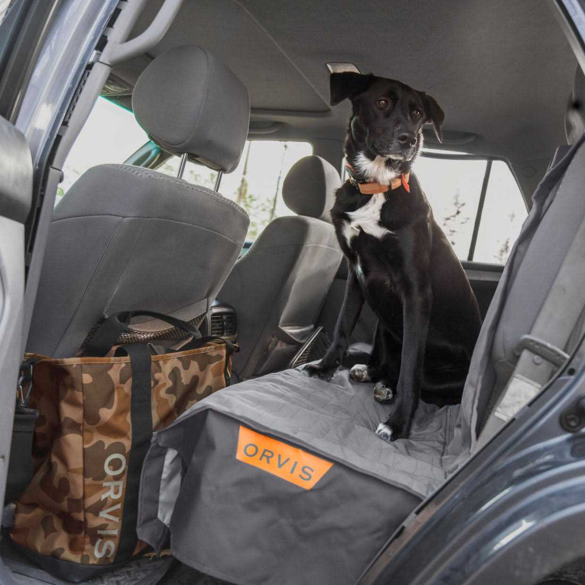 Dog Tote C956379