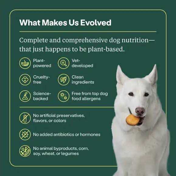 Dry Dog Food T705105