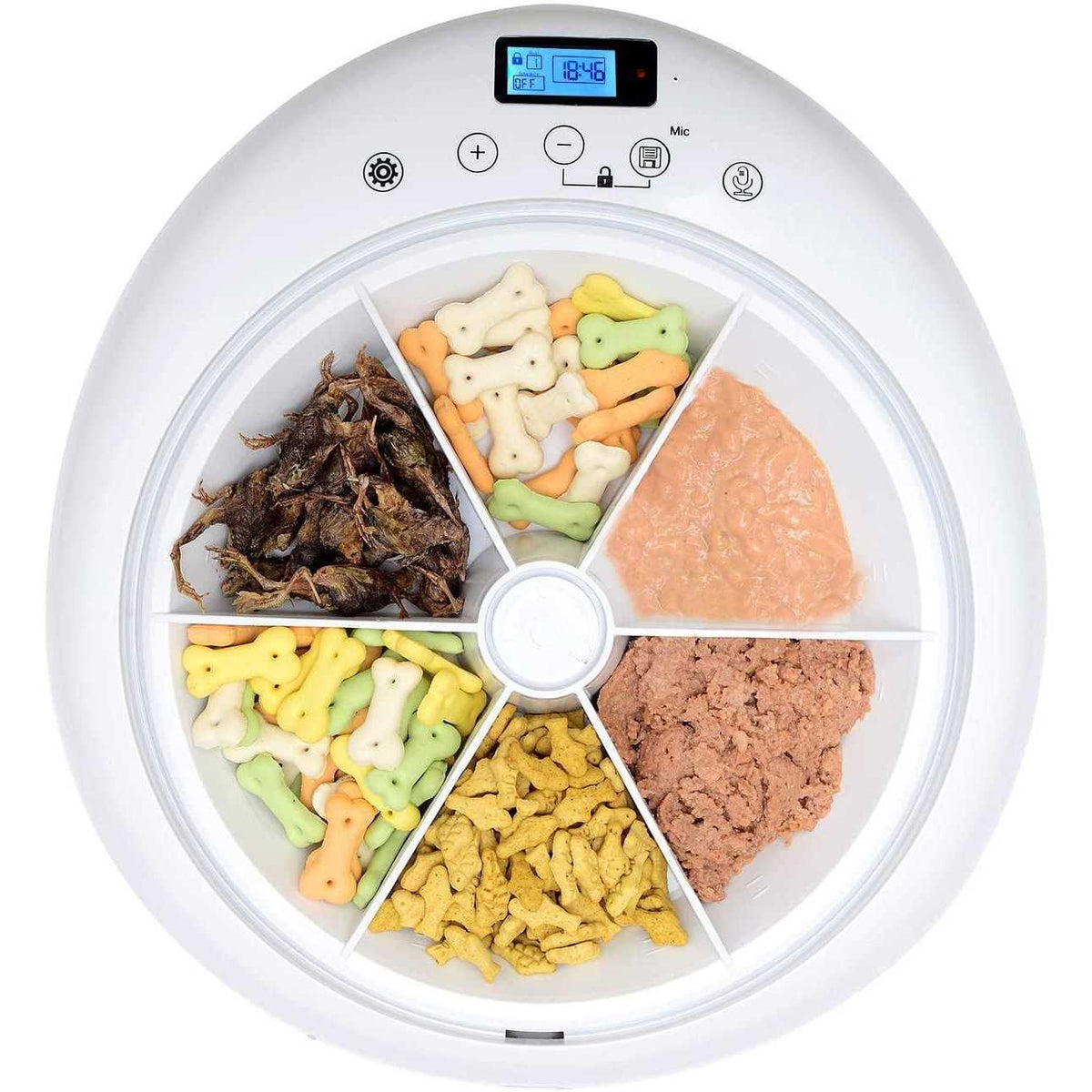 Automatic Cat Dog Feeder with Programmable Timer B581
