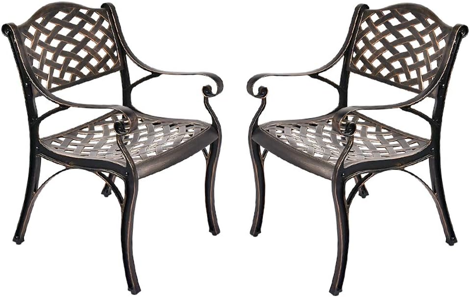2 Piece Cast Aluminum Bistro Dining Chair Set H714407