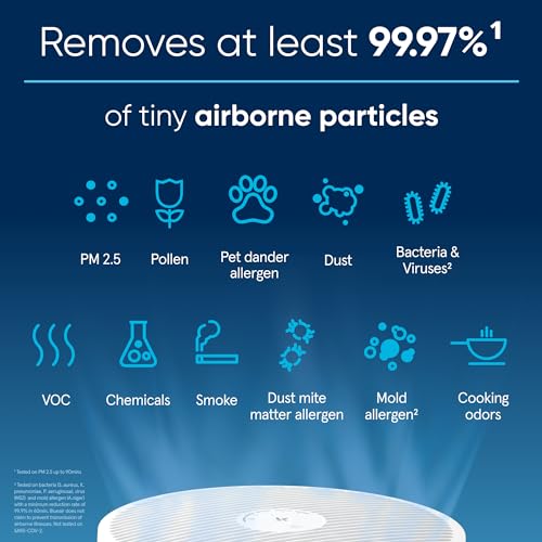Air Purifiers for Large Rooms E722037