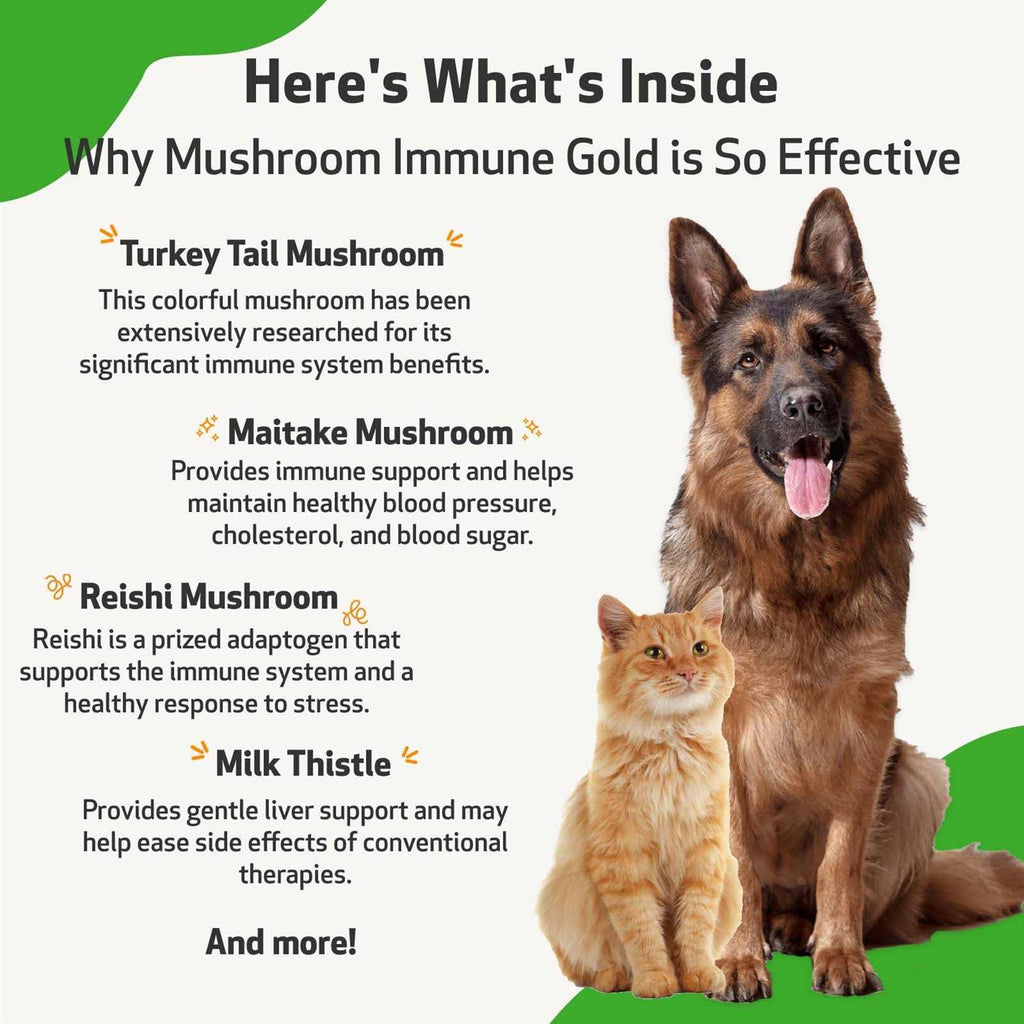 Mushroom Immune Gold for Cats and Dogs I843