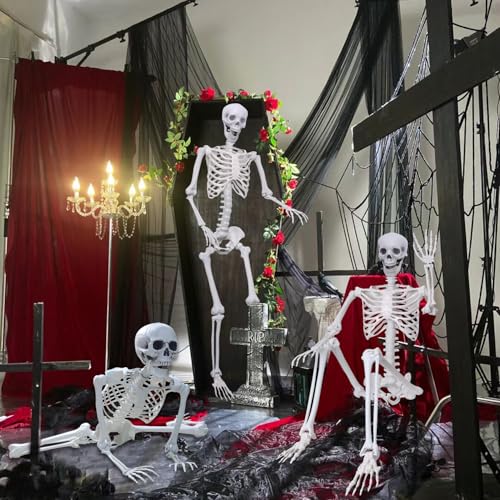 5.9Ft Posable Life Size Plastic Full Body Skeleton V3181