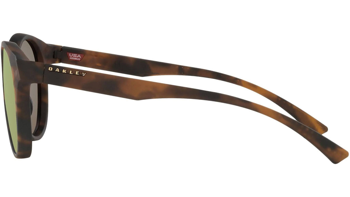 Matte Brown Tortoise Sunglasses F33544