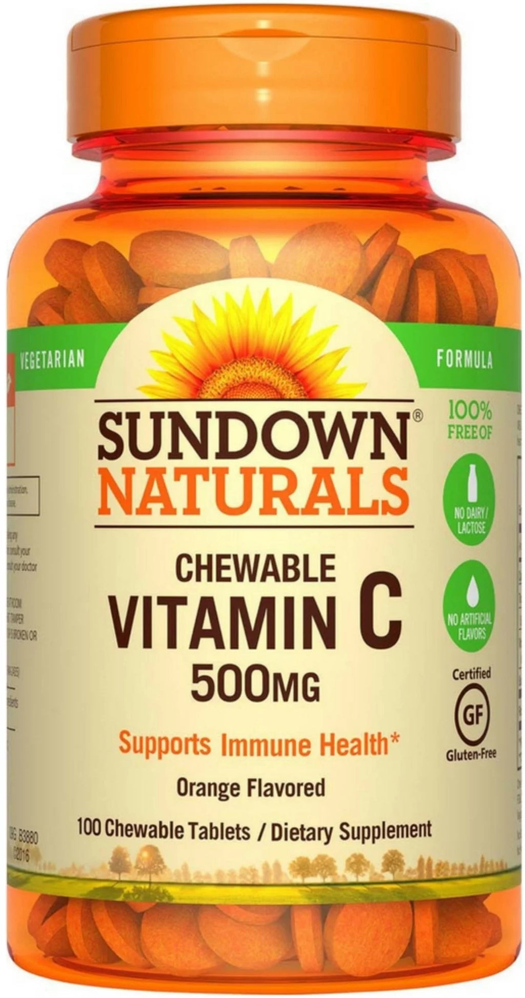 Vitamin C 500 mg Chewable Tablets With Rose Hips 100 Tablets Pack of 2 O101