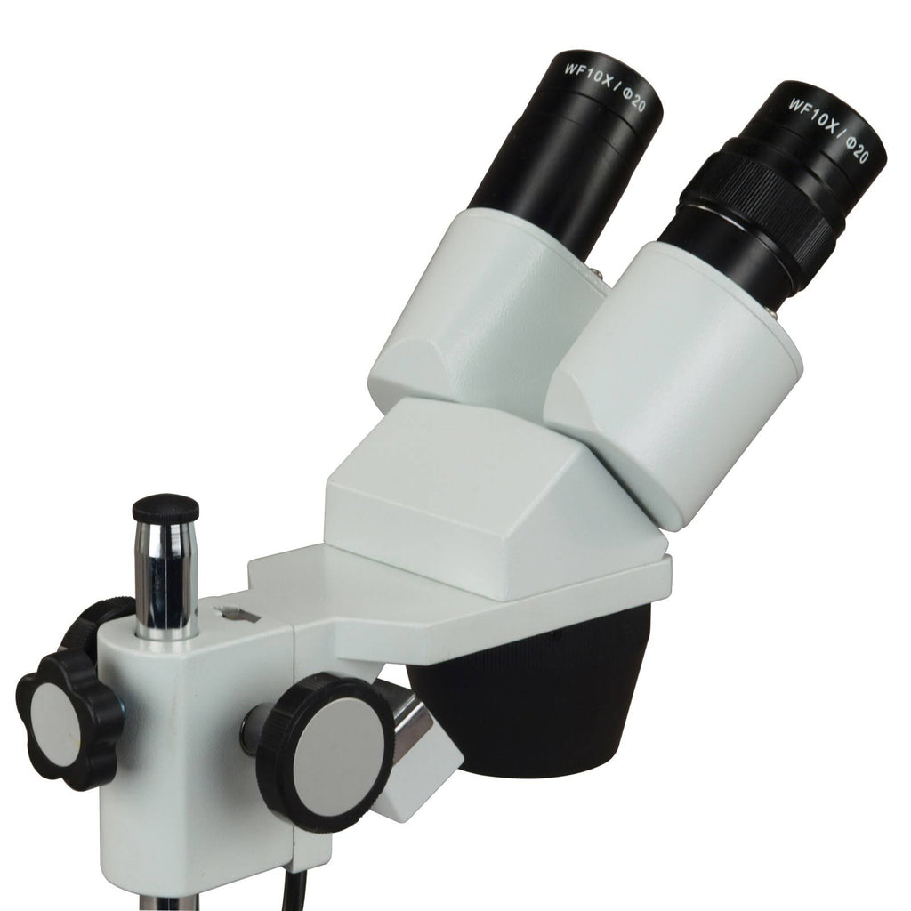 10X-30X Binocular Stereo Microscope with Dual Lights F271410