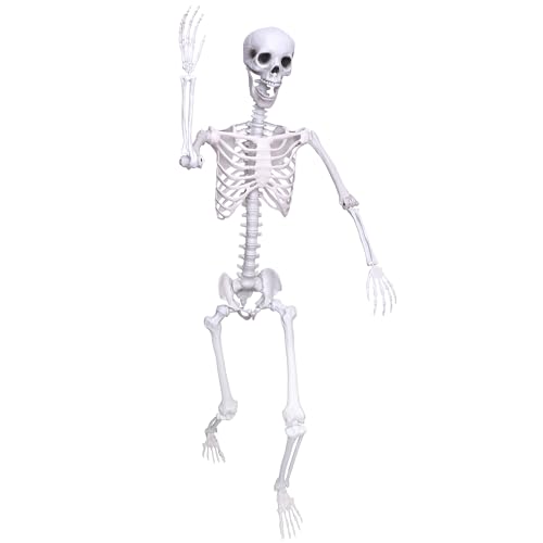 5.9Ft Posable Life Size Plastic Full Body Skeleton V3181
