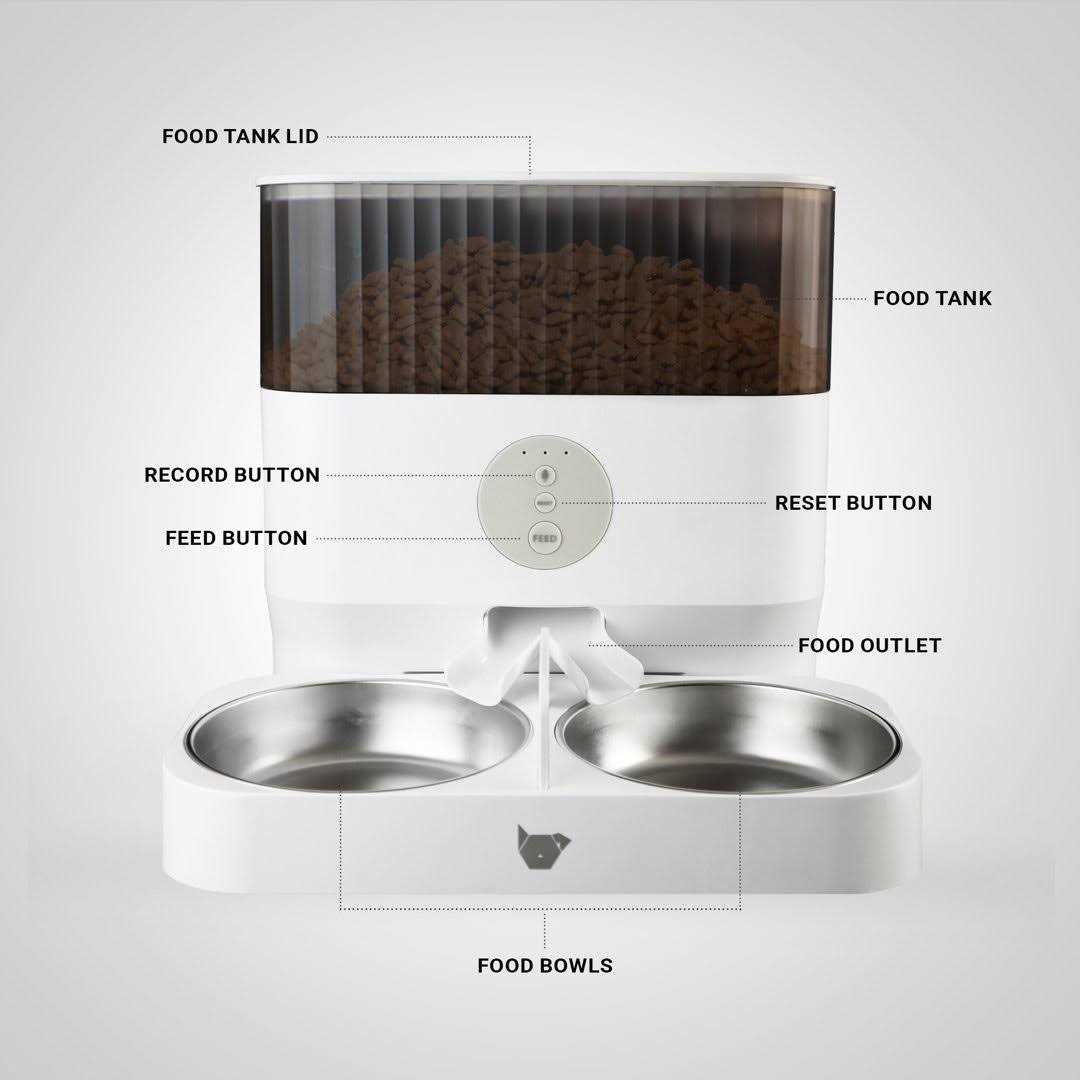 Automatic Pet Feeder E549
