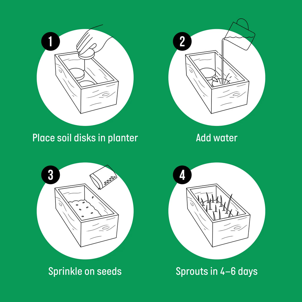 Organic Cat Grass Kit with Wood Planter, Seed and Soil Z482