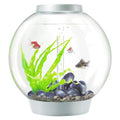 Classic 60 Aquarium with LED 16 Gallon Silver S224547