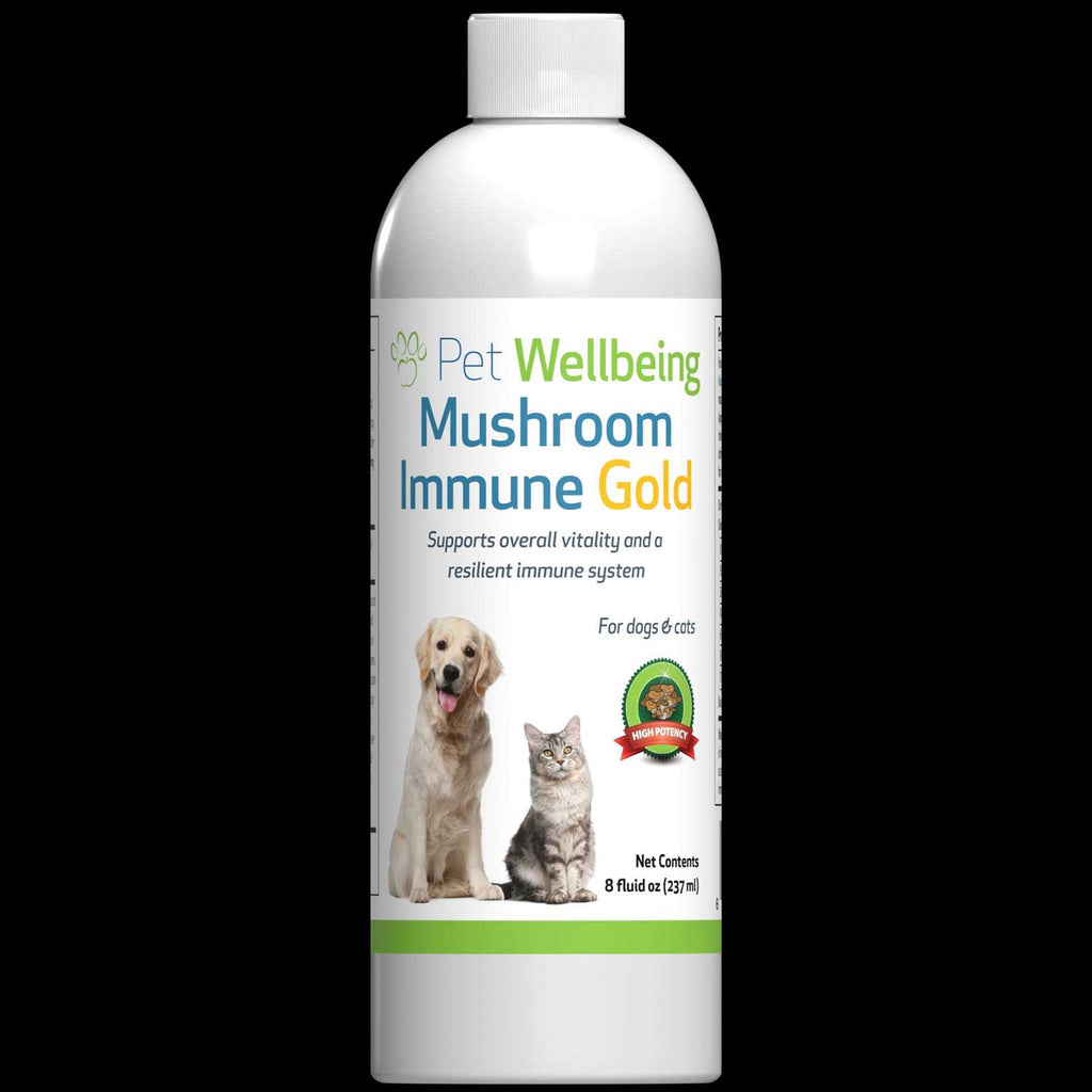 Mushroom Immune Gold for Cats and Dogs I843