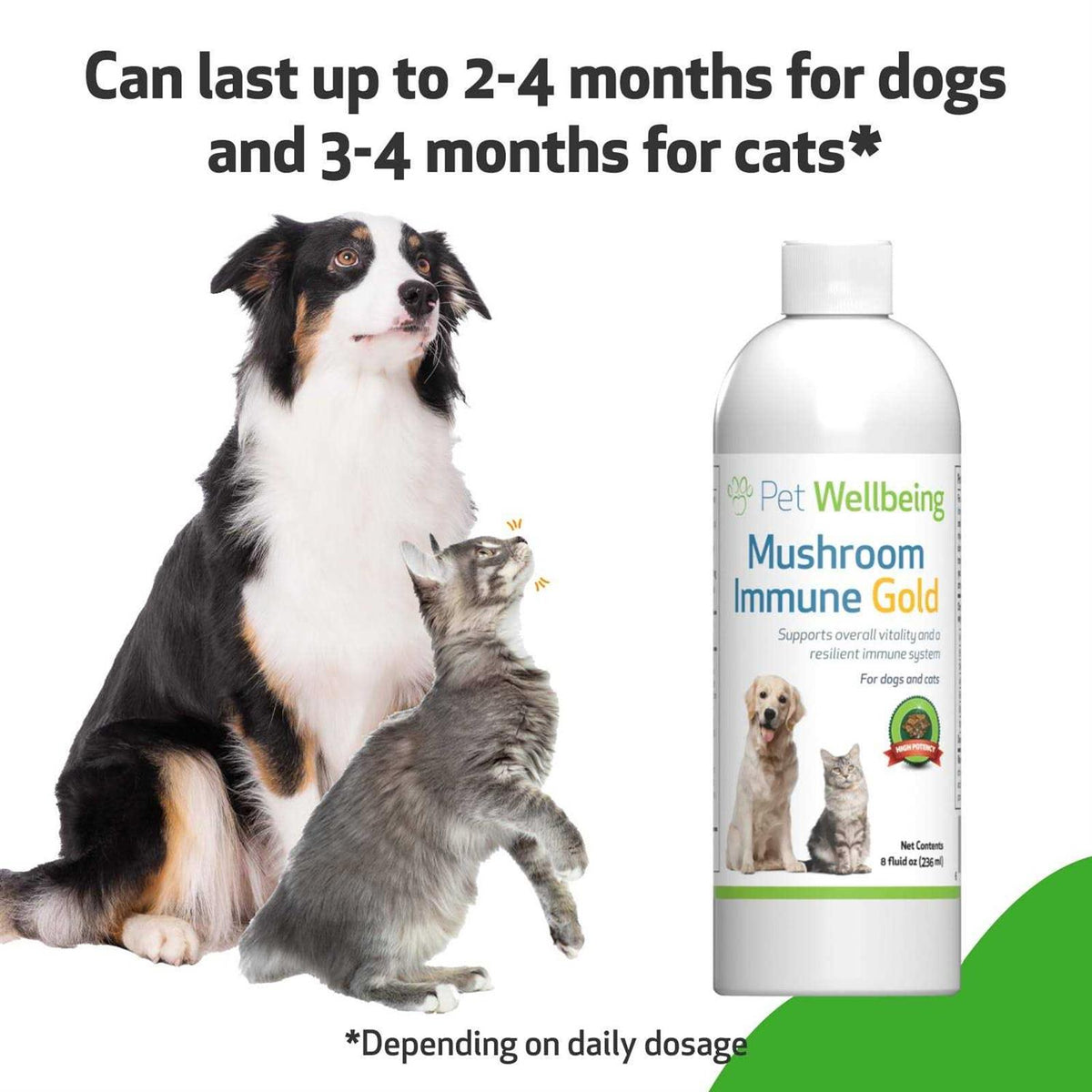 Mushroom Immune Gold for Cats and Dogs I843