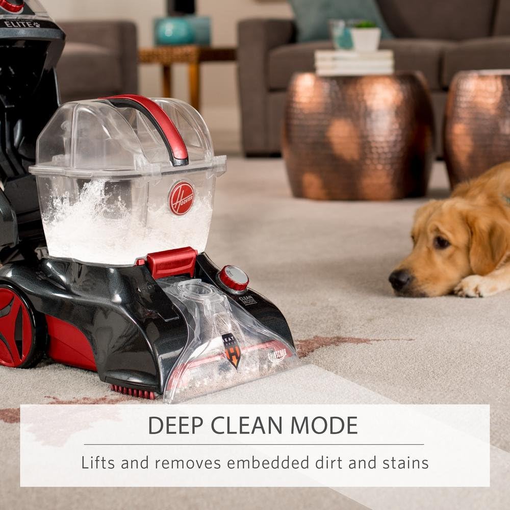 Upright Carpet Cleaner N5670