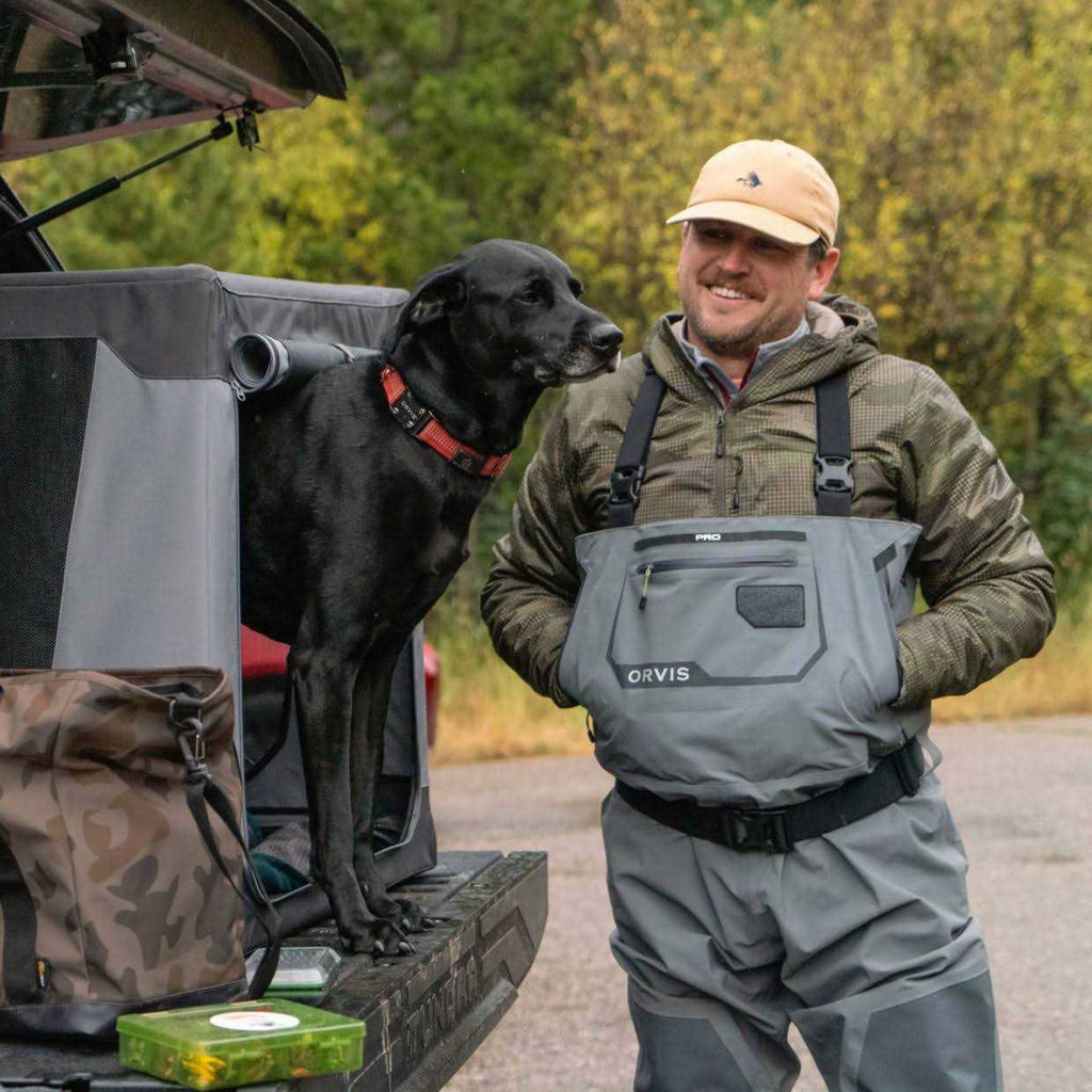 Dog Tote C956379