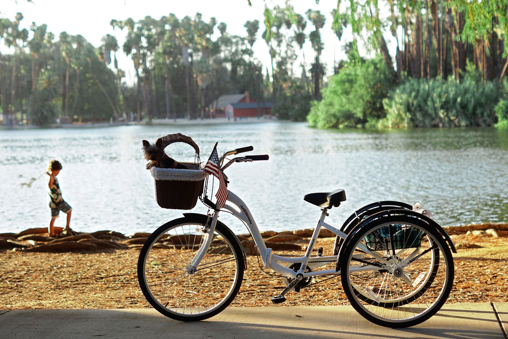Blue Folding Adult Trike Q8440