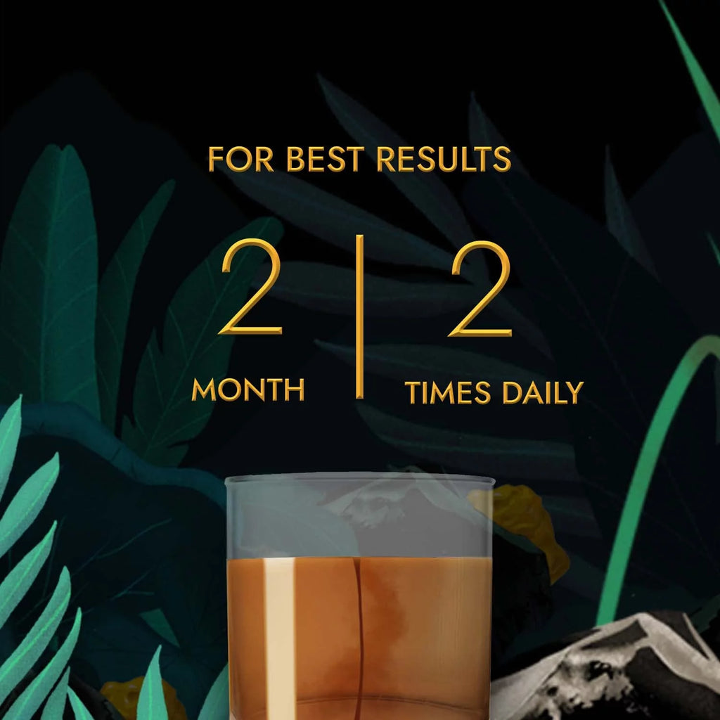 Shilajit Resin 20G H1958