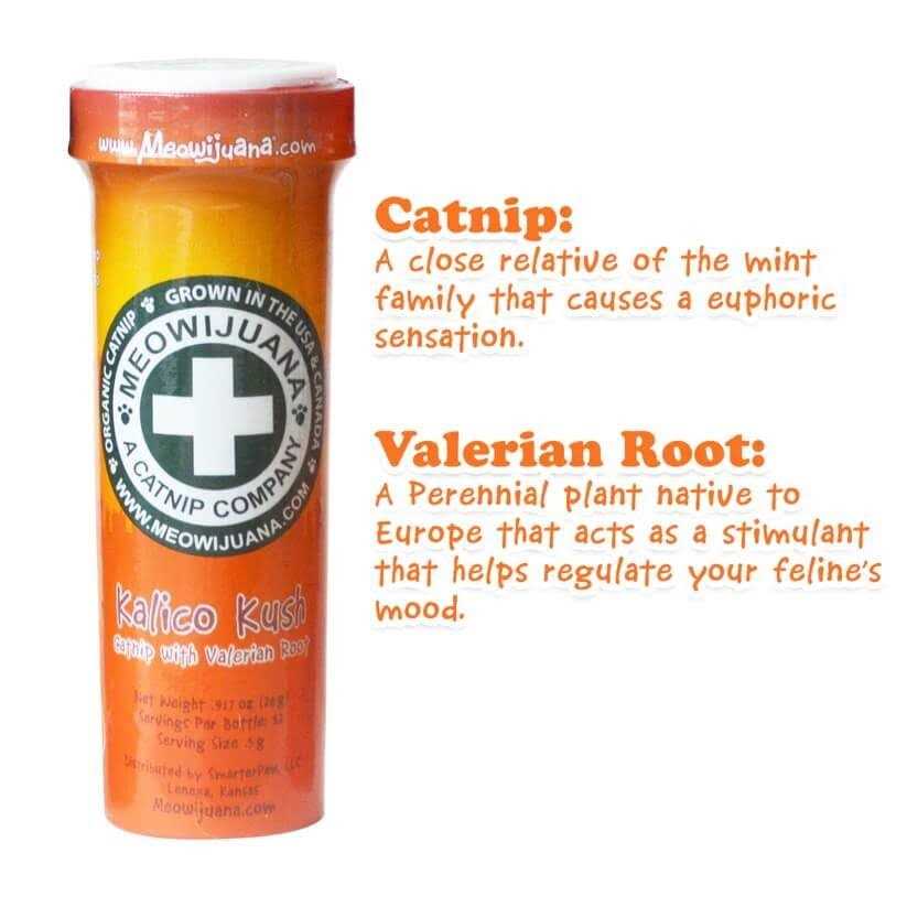 Catnip S343117