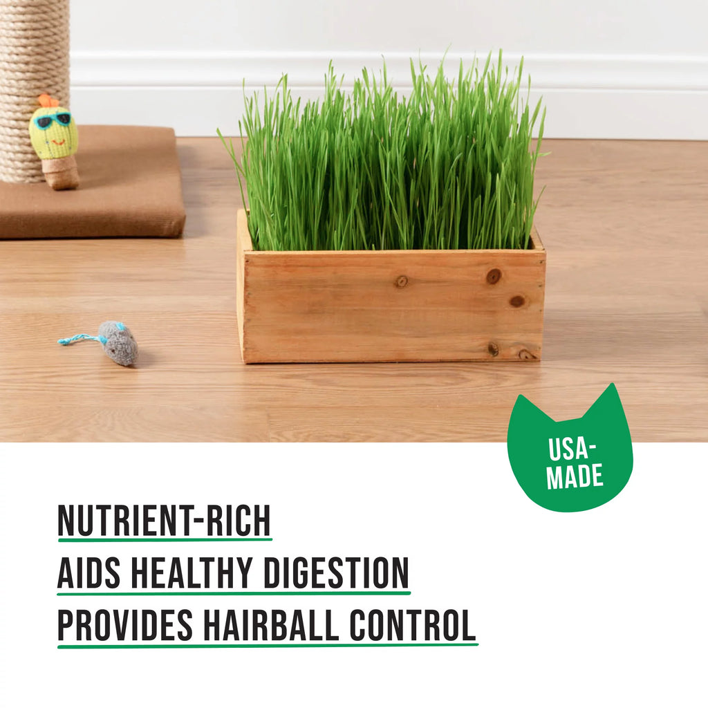 Organic Cat Grass Kit with Wood Planter, Seed and Soil Z482