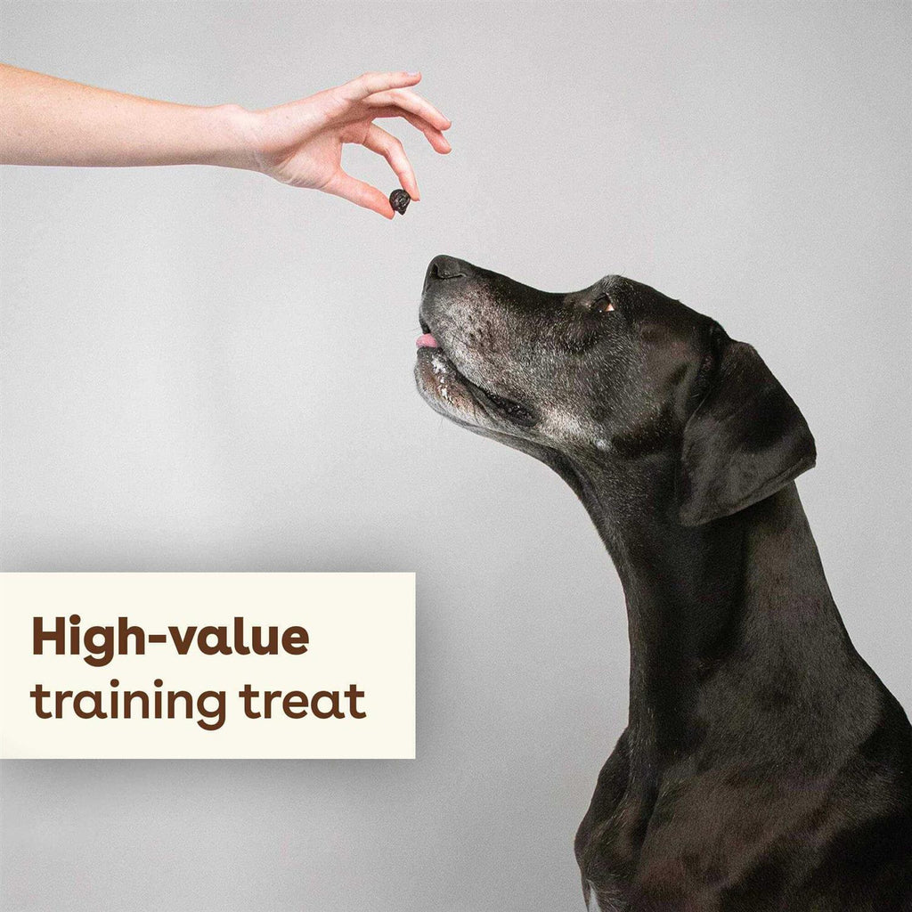 Freeze Dried Dog Training Treats W372573