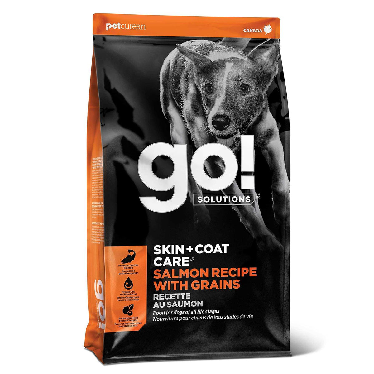 Salmon Recipe Dry Dog Food M383