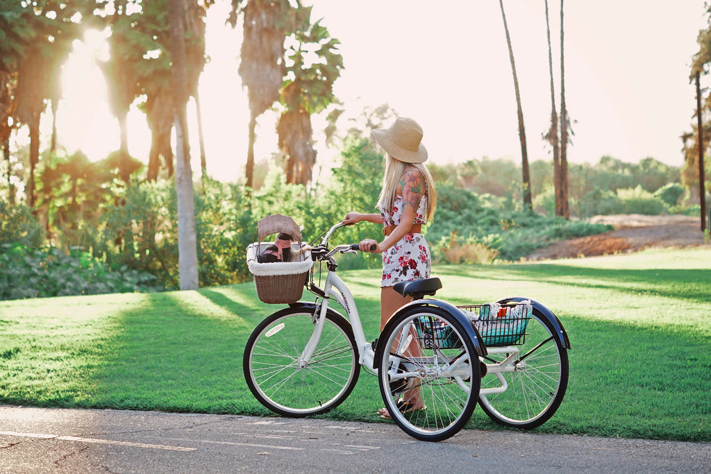 Blue Folding Adult Trike Q8440