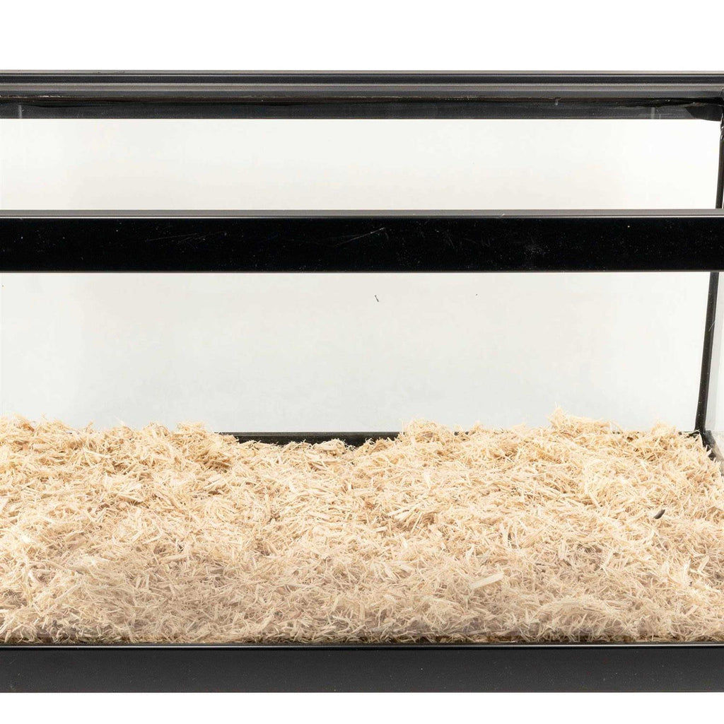 Aspen Snake Bedding Z975