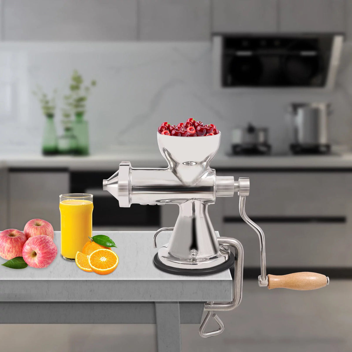 Manual Juicer Hand Fruit Vegetables Extractor V145